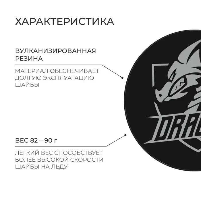 Шайба хоккейная Winter Star, детская, d=6 см