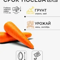 Семена Морковь &laquo;Смаковница&raquo;, 2 г, &laquo;Аэлита&raquo;