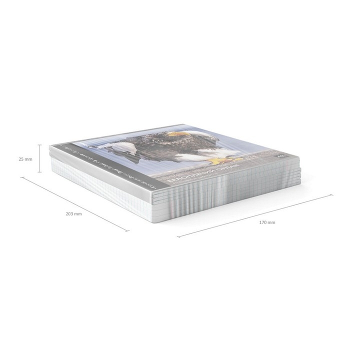 Тетрадь 48 листов в клетку, ErichKrause Тетрадь 48 листов в клетку, ErichKrause "Красная книга России. Птицы", обложка мелованный картон, глянцевая ламинация, блок офсет 100% белизна, МИКС