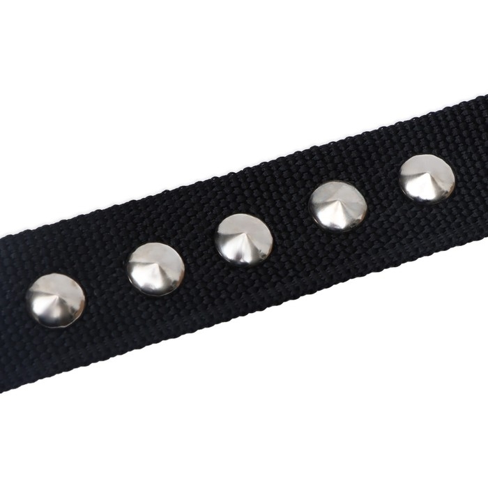 Ошейник клепаный, 48,5 х 3 см, ОШ 31-40 см, полиэстер, чёрный Ошейник клепаный, 48,5 х 3 см, ОШ 31-40 см, полиэстер, чёрный
