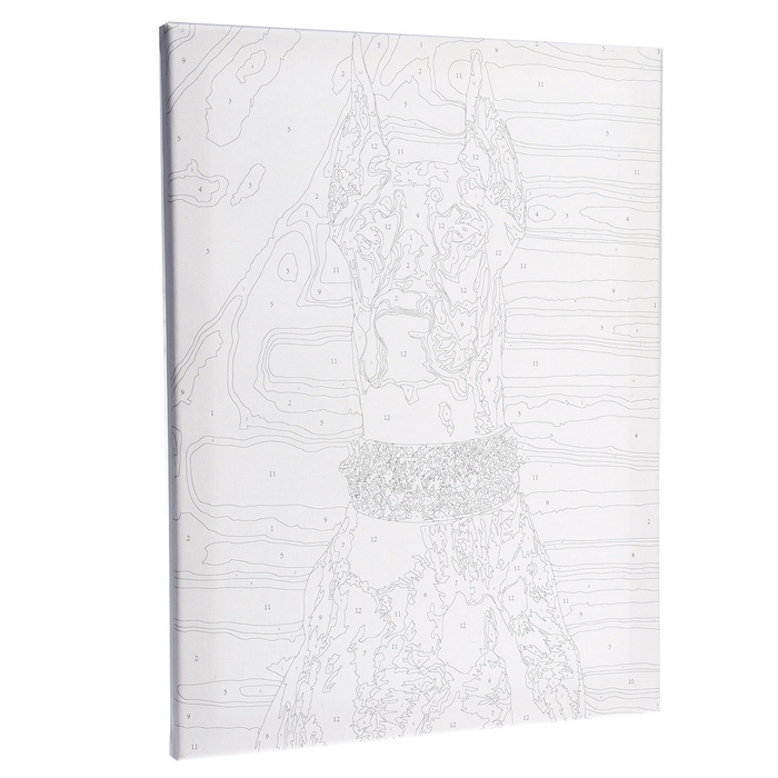 Картина по номерам на холсте с подрамником &laquo;Доберман&raquo;, 30х40 см