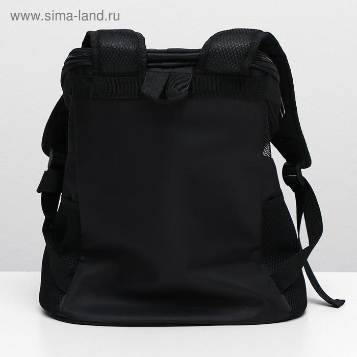 Рюкзак для переноски кошек и собак, 31,5 х 25 х 33 см, черный Рюкзак для переноски кошек и собак, 31,5 х 25 х 33 см, черный