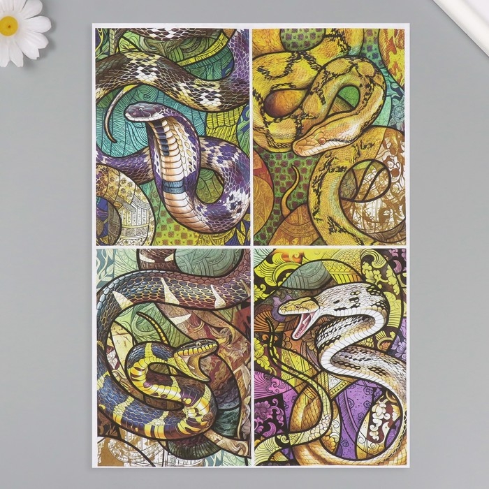 Набор декупажных карт 6 шт «Девушки и змеи», плотность 45 гр/м2, формат А4