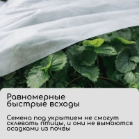 Материал укрывной, 10 × 1.6 м, плотность 20 г/м², спанбонд с УФ-стабилизатором, белый, Greengo, Эконом 30%