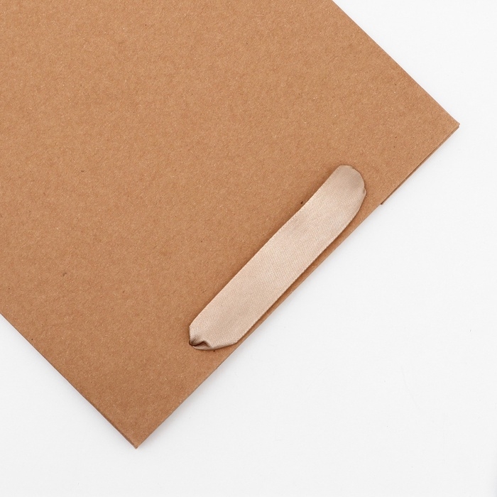 Пакет крафт без печати, 20 х 10 х 28 см 260 г/м2 Пакет крафт без печати, 20 х 10 х 28 см 260 г/м2