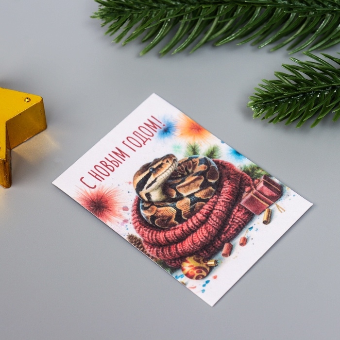 Набор открыток с семенами  Набор открыток с семенами "Вырасти сам" "Змеи" 5*7см