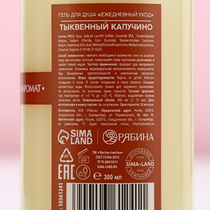 Гель для душа, наслаждение и очищение, 300 мл, аромат тыквенный капучино, Новый Год