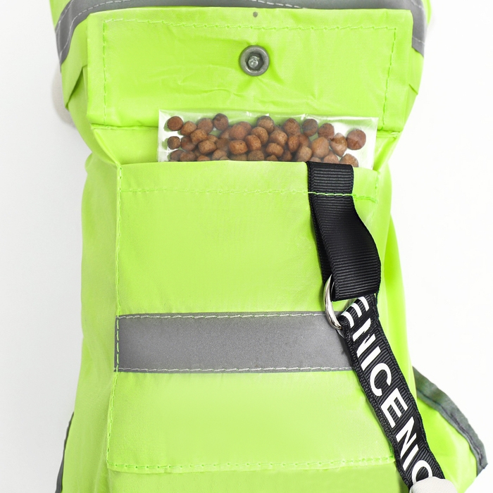 Комбинезон для собак, демисезонный с козырьком, размер  L (ДС 36, Ог 51, ОШ 40 см), зелёный   985440 Комбинезон для собак, демисезонный с козырьком, размер  L (ДС 36, Ог 51, ОШ 40 см), зелёный   985440