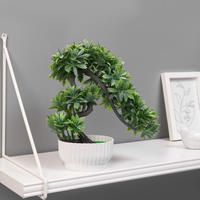 Бонсай в горшке Бонсай в горшке "Деревце остролист" 10х22 см, микс