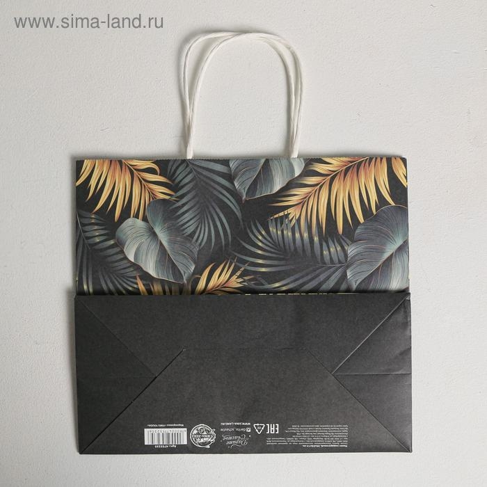 Пакет подарочный крафтовый, упаковка, «Тропики», 25 х 22 х 12 см Пакет подарочный крафтовый, упаковка, «Тропики», 25 х 22 х 12 см
