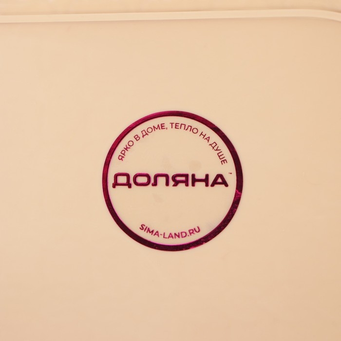 Поднос пластиковый прямоугольный Доляна «Плетение», 32×23×5 см, цвет МИКС Поднос пластиковый прямоугольный Доляна «Плетение», 32×23×5 см, цвет МИКС