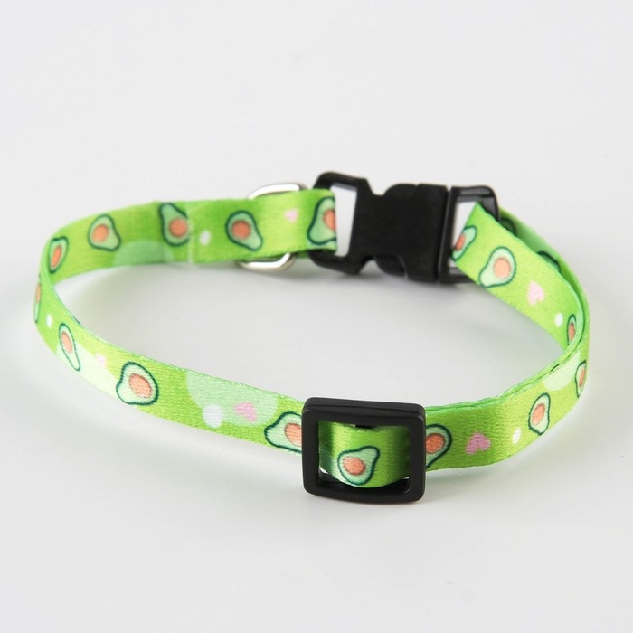Ошейник для собак и кошек с фастексом «Авокадо», 30х1 см Ошейник для собак и кошек с фастексом «Авокадо», 30х1 см