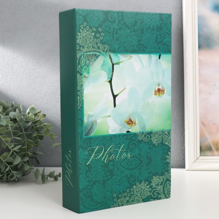 Фотоальбом на 300 фото 10х15 см, пластик. листы Фотоальбом на 300 фото 10х15 см, пластик. листы "bloom" Орхидеи