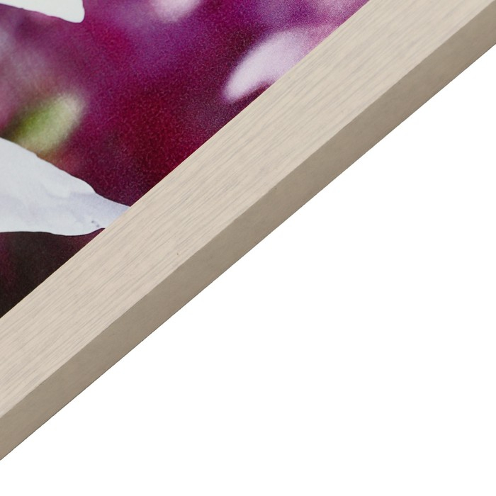 Картина  Картина "Лебеди под цветами сакуры" 56*76 см