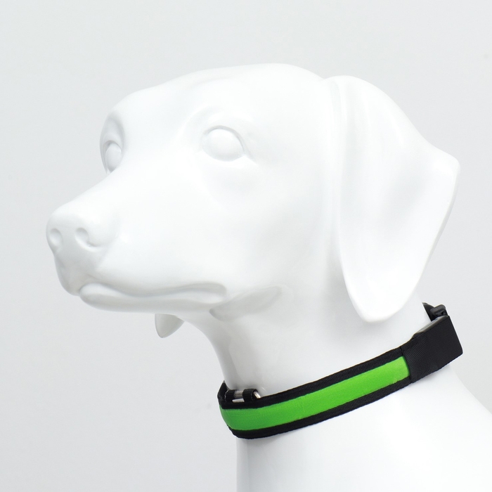 Ошейник с подсветкой Flash 3 режима свечения, размер XL, ОШ 52-60 х 2,5 см зелёный Ошейник с подсветкой Flash 3 режима свечения, размер XL, ОШ 52-60 х 2,5 см зелёный