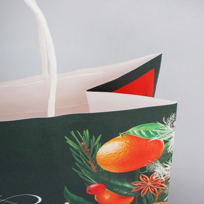 Пакет подарочный новогодний крафтовый «Новогодняя суета», 25 х 22 х 12 см, Новый год Пакет подарочный новогодний крафтовый «Новогодняя суета», 25 х 22 х 12 см, Новый год