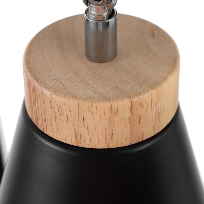 Спот Спот "Риген" 3хЕ27 40Вт черный 100х17х12 см