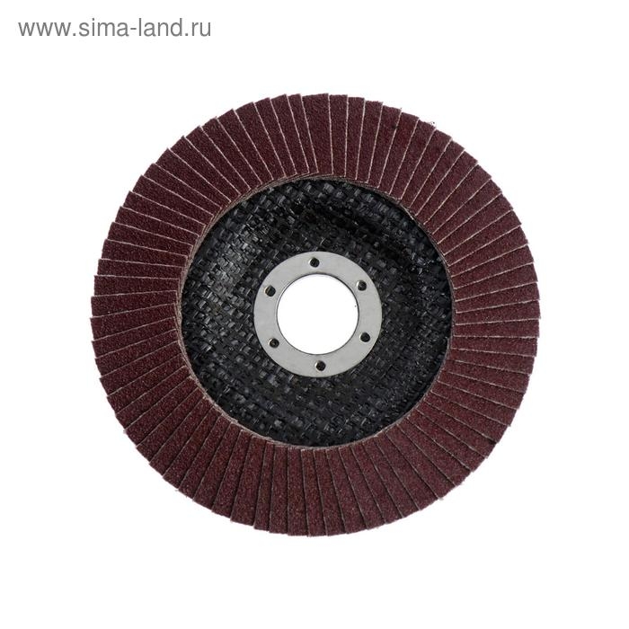 Круг лепестковый торцевой ЛОМ, 125 х 22 мм, Р120 Круг лепестковый торцевой ЛОМ, 125 х 22 мм, Р120