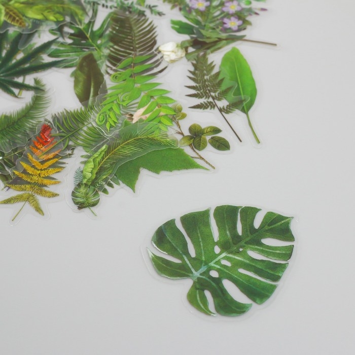 Наклейки для творчества пластик PVC Наклейки для творчества пластик PVC "Зеленые листья" набор 60 шт 10х14 см