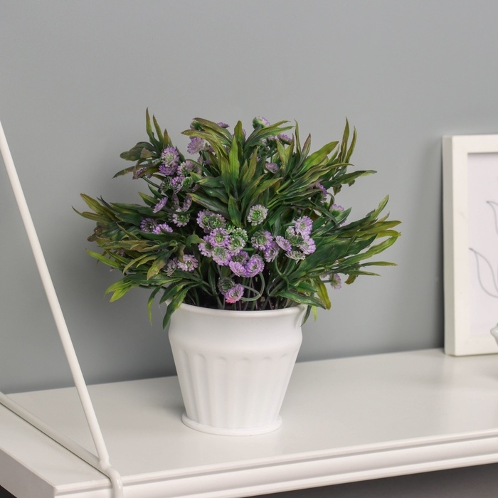 Бонсай в горшке Бонсай в горшке "Руэллия премиум" 19х9 см, микс