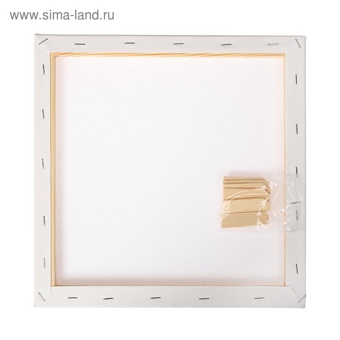 Холст на подрамнике, хлопок 100%, 30 х 30 х 1.8 см, акриловый грунт, мелкозернистый, 280 г/м² Холст на подрамнике, хлопок 100%, 30 х 30 х 1.8 см, акриловый грунт, мелкозернистый, 280 г/м²