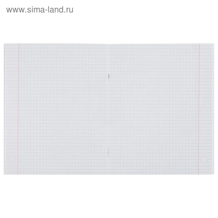 Тетрадь 48 листов в клетку Calligrata "Яркая жизнь", обложка мелованный картон, УФ-лак, блок офсет, МИКС