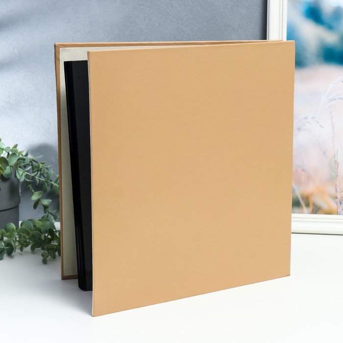 Фотоальбом магнитный 20 листов Фотоальбом магнитный 20 листов "Пёрышки и круги" в коробке 34х4х33 см