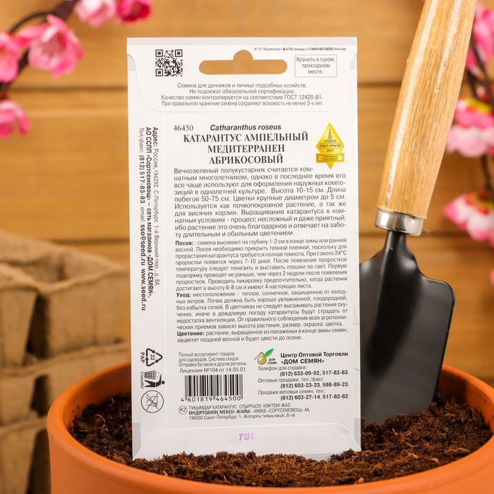 Семена цветов  Катарантус амп. Медитерранен, абрикосовый, 7 шт Семена цветов  Катарантус амп. Медитерранен, абрикосовый, 7 шт