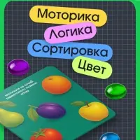 Мозаика &laquo;Весёлые задания&raquo;, по методике Монтессори, 54 камешка, 10 заданий, 3+