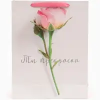 Пакет подарочный ламинированный, упаковка, &laquo;Ты прекрасна&raquo;, L 31&times;40&times;11.5 см