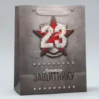 Пакет подарочный ламинированный, упаковка, &laquo;С 23 февраля&raquo;, ML 23&times;27&times;11.5 см