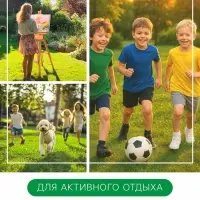 Газонная травосмесь &laquo;Спортивный&raquo; 0.5 кг