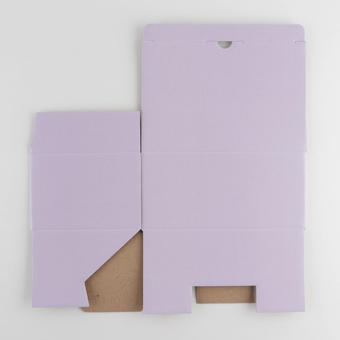 Коробка подарочная складная, упаковка, «Лавандовая», 22 х 15 х 10 см Коробка подарочная складная, упаковка, «Лавандовая», 22 х 15 х 10 см