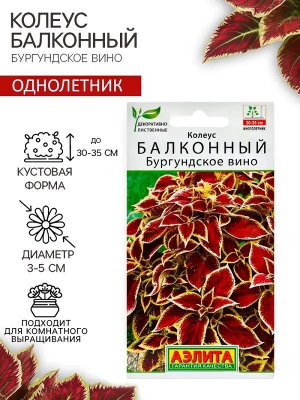Семена цветов Колеус балконный  Семена цветов Колеус балконный "Бургундское вино", ц/п, 5 шт