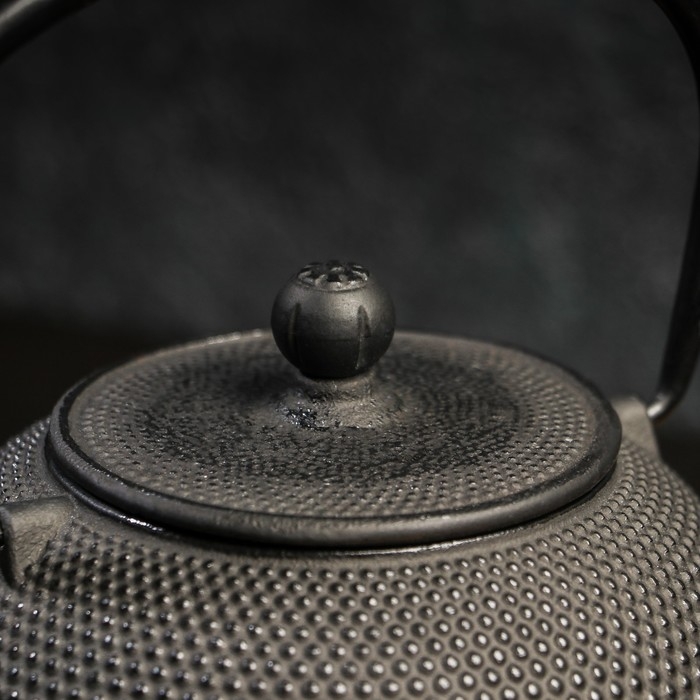 Чайник чугунный Magma «Восточная ночь», 600 мл, с ситом, эмалированный внутри Чайник чугунный Magma «Восточная ночь», 600 мл, с ситом, эмалированный внутри