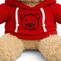 Мягкая игрушка &laquo;Медведь&raquo;, в кофте, 30 см, красная