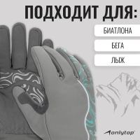 Перчатки лыжные ONLYTOP модель 2099, р. M