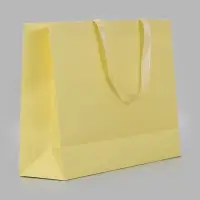 Пакет подарочный, ламинированный, горизонтальный, &laquo;Молочный&raquo;, 40&times;32&times;13