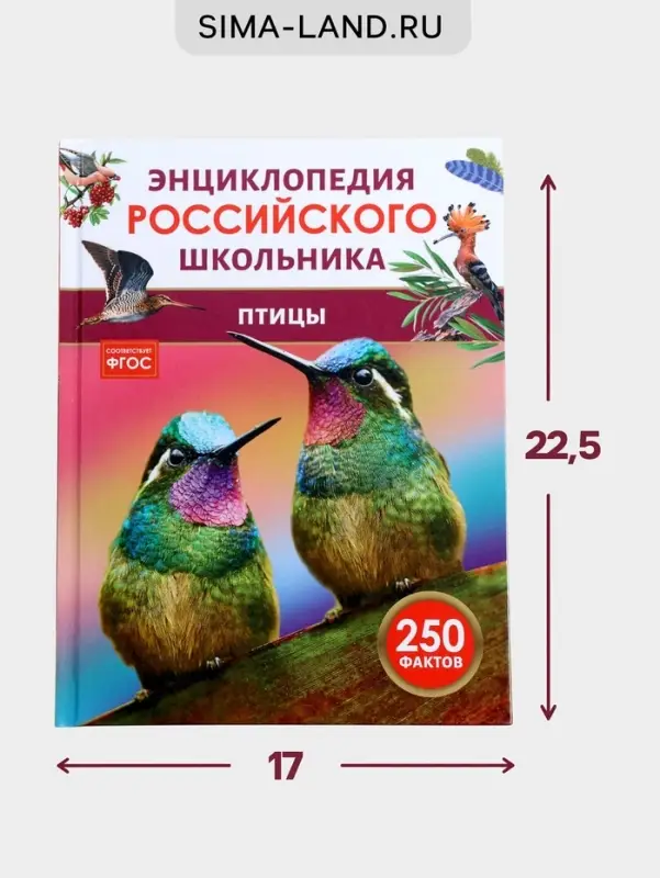 Энциклопедия российского школьника &laquo;Птицы&raquo;