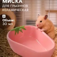 Миска для грызунов &laquo;Клубника&raquo;, 10&times;11&times;4 см, керамика