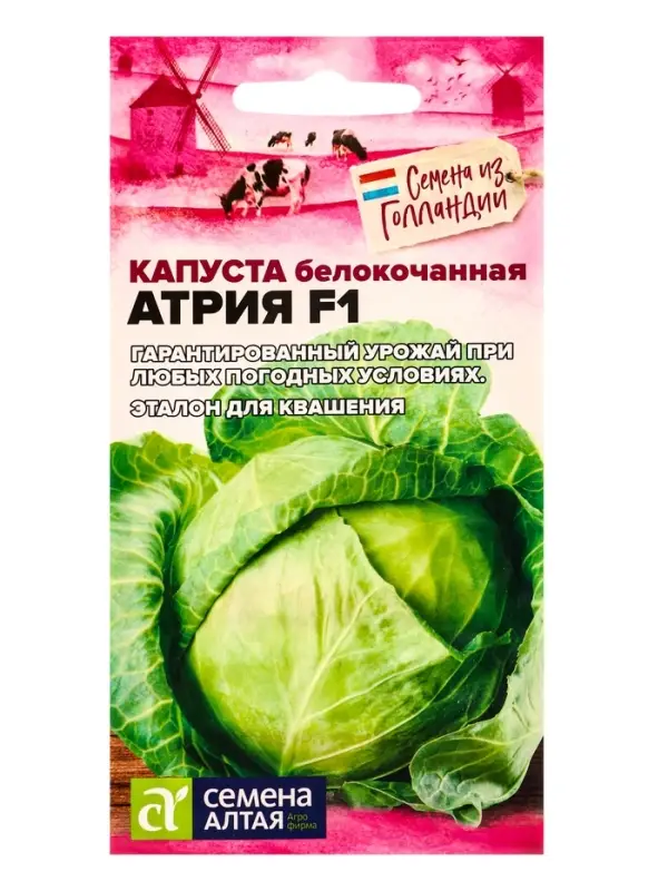 Семена Капуста белокочанная &laquo;Атрия&raquo; F1, 10 шт. &laquo;Семена Алтая&raquo;
