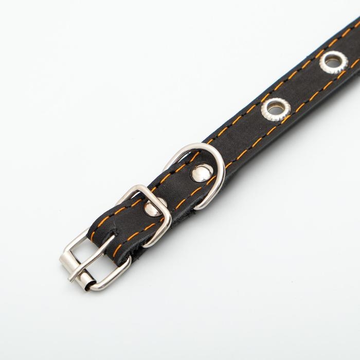 Ошейник кожаный однослойный с рифлеными люверсами, безразмерный, 40 х 1,5 см, ОШ 27-35 см, чёрный 7 Ошейник кожаный однослойный с рифлеными люверсами, безразмерный, 40 х 1,5 см, ОШ 27-35 см, чёрный 7