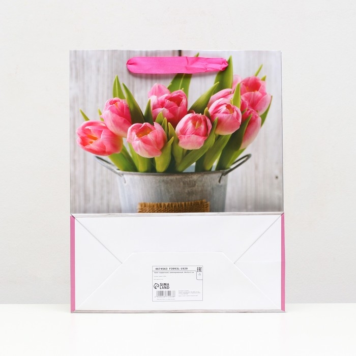 Пакет ламинированный, 26 x 32 x 12 см Пакет ламинированный, 26 x 32 x 12 см