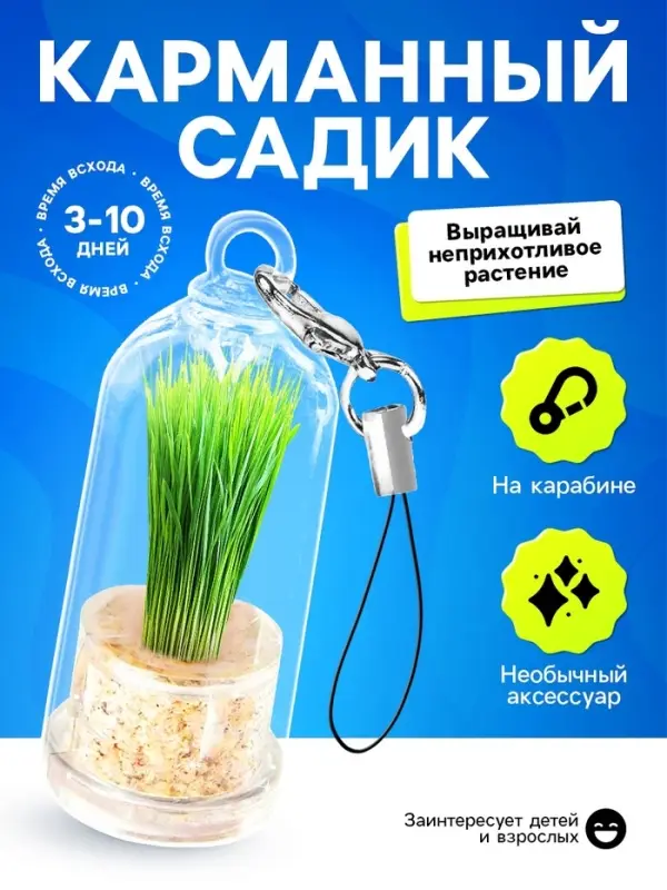 Набор для опыта &laquo;Живой брелок&raquo;, мини-сад, выращивание травы