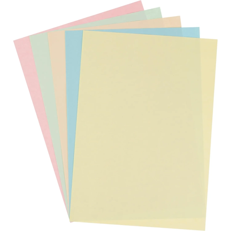 Бумага цветная Выбор есть (А4,80г,микс пастель) пачка 100л