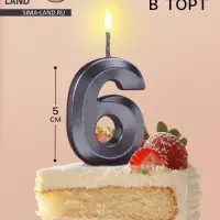 Свеча в торт на шпажке &laquo;Цифра 6&raquo;, черная, 5 см