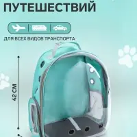 Рюкзак для переноски животных, 31&times;28&times;42 см, прозрачный, бирюзовый