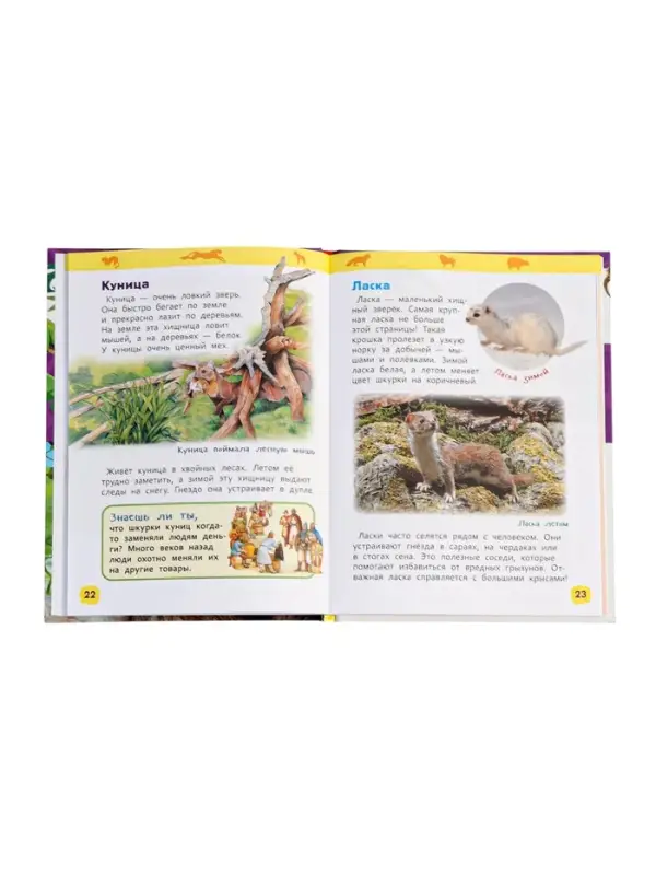 Детская энциклопедия &laquo;Дикие животные&raquo;, 48 стр.