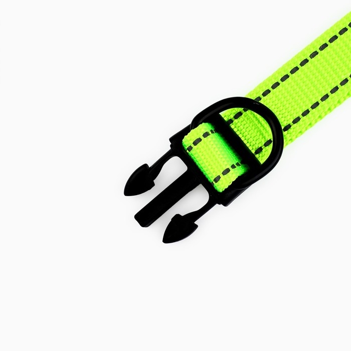 Ошейник с подкладом из нейлона с фастексом 2 см, ОШ 27-40 см, зелёный Ошейник с подкладом из нейлона с фастексом 2 см, ОШ 27-40 см, зелёный