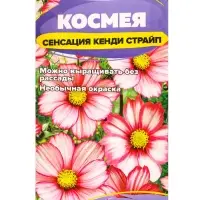 Семена цветов Космея &laquo;Сенсация Кенди Страйп&raquo;, 0.3 г, &laquo;Семена Алтая&raquo;